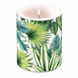 Kaarsen/LED-Kaarsen/Geurkaarsen