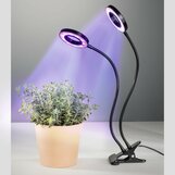 Plantverzorging
