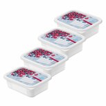 Rotho Domino Diepvriesdozen Etiket Decor 4x0.5L Wit