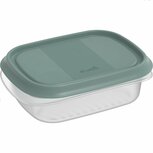 Rotho ELEMENTS Koelkast Bewaardoos 16x12x5 cm 0.5L Mistletoe Groen/Transparant