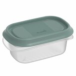 Rotho ELEMENTS Koelkast Bewaardoos 12x8x5 cm 0.2L Mistletoe Groen/Transparant