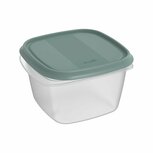 Rotho ELEMENTS Koelkast Bewaardoos 16x16x10 cm 1.3L Mistletoe Groen/Transparant