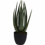 Kunstplant Alo&euml; Vera 25x45 cm Groen