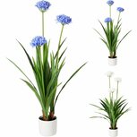 Kunstplant Agapanthus 70x120 cm Blauw/Wit