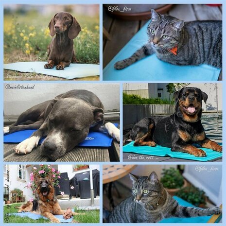 Nosli Zelfkoelende Koelmat voor Honden en Katten 40x50 cm Zeeblauw