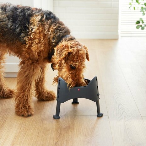 Rotho Sammy Verstelbare Voederbak 1.02L Antraciet