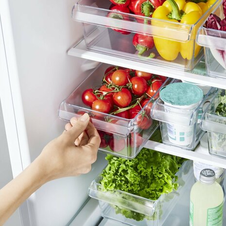 Rotho LOFT Koelkast Organizer 1.6L 31x8x9 cm Transparant