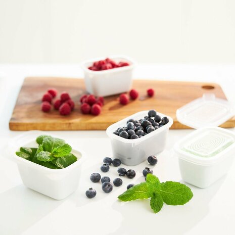 Rotho Freeze Diepvriesdozen 4x0.75L Transparant/Wit