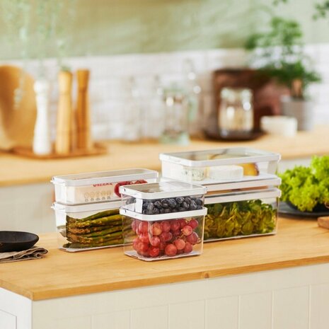 Rotho CAUMA Koelkastorganizer 18.4x13.6x6.2 cm 1.2L Wit/Transparant