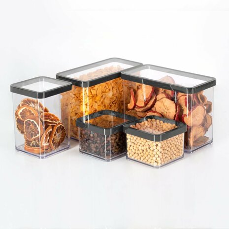 Rotho LOFT Vleeswarendoos 20x15x5 cm 1L Zwart/Transparant