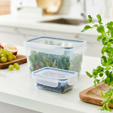 Rotho Clic &amp; Lock Koelkast Bewaardoos 0.75L Horizon Blauw/Transparant