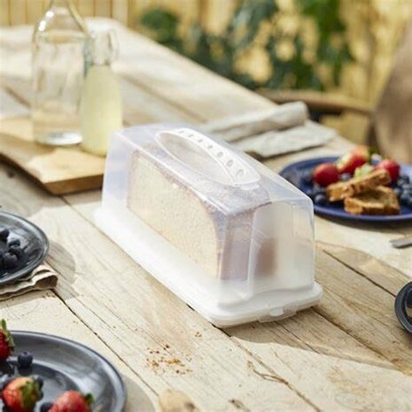 Rotho Fresh Cakedoos Rechthoek 36x16.5x16.5 cm Wit/Transparant