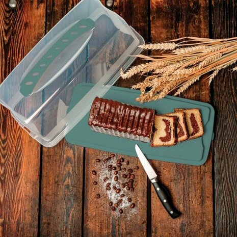 Rotho Fresh Cakedoos Rechthoek 36x16.5x16.5 cm Mistletoe Groen