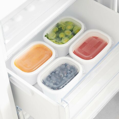 Rotho Freeze Diepvriesdozen 4x0.5L Transparant/Wit