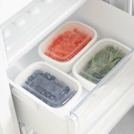 Rotho Freeze Diepvriesdozen 3x1L Transparant/Wit