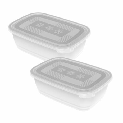 Rotho Freeze Diepvriesdozen 2x1.9L Transparant