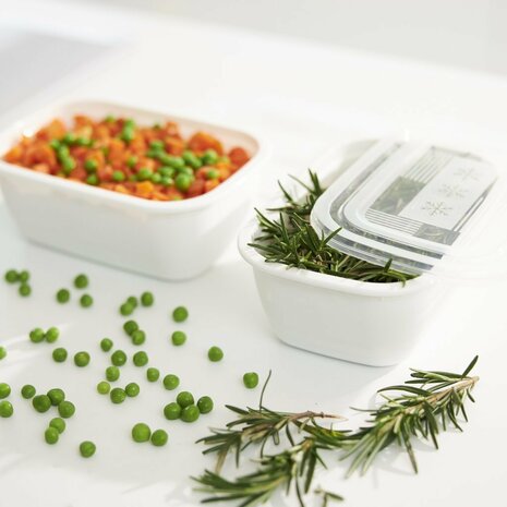 Rotho Freeze Diepvriesdozen 2x1.9L Transparant