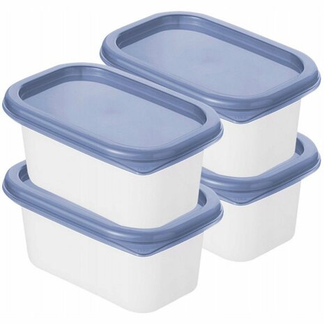 Rotho Domino Diepvriesdozen 4x0.2L Horizon Blauw/Wit