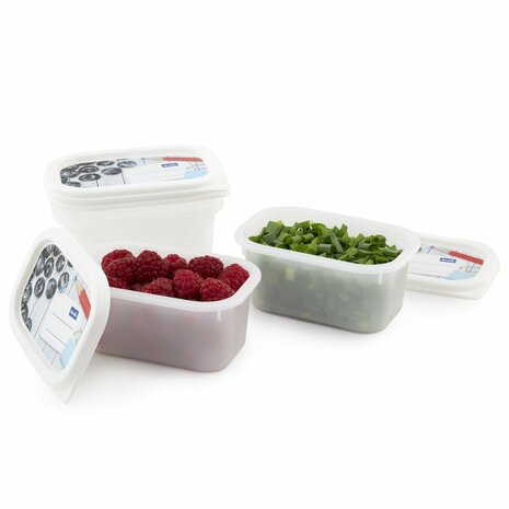 Rotho Domino Diepvriesdozen Etiket Decor 4x0.2L Wit