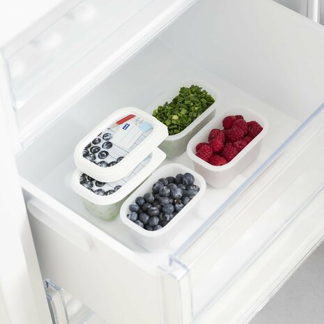 Rotho Domino Diepvriesdozen Etiket Decor 4x0.2L Wit