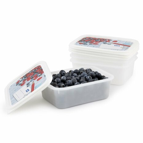 Rotho Domino Diepvriesdozen Etiket Decor 4x0.5L Wit