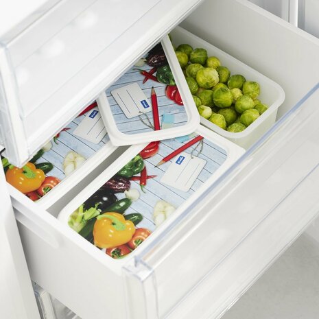 Rotho Domino Diepvriesdozen Etiket Decor 3x1.5L Wit