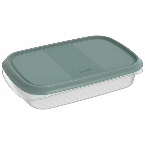 Rotho ELEMENTS Koelkast Bewaardoos 24x16x5 cm 1L Mistletoe Groen/Transparant