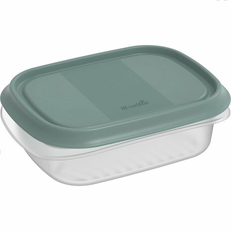 Rotho ELEMENTS Koelkast Bewaardoos 16x12x5 cm 0.5L Mistletoe Groen/Transparant