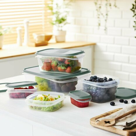 Rotho ELEMENTS Koelkast Bewaardoos 16x12x5 cm 0.5L Mistletoe Groen/Transparant