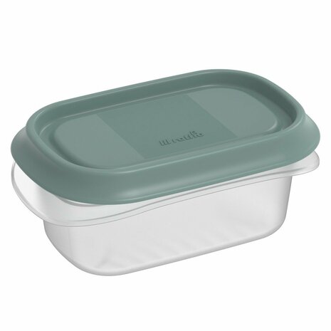 Rotho ELEMENTS Koelkast Bewaardoos 12x8x5 cm 0.2L Mistletoe Groen/Transparant