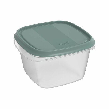 Rotho ELEMENTS Koelkast Bewaardoos 16x16x10 cm 1.3L Mistletoe Groen/Transparant