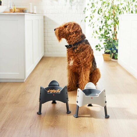 Rotho Sammy Verstelbare Voederbak 1.02L Antraciet/Grijs