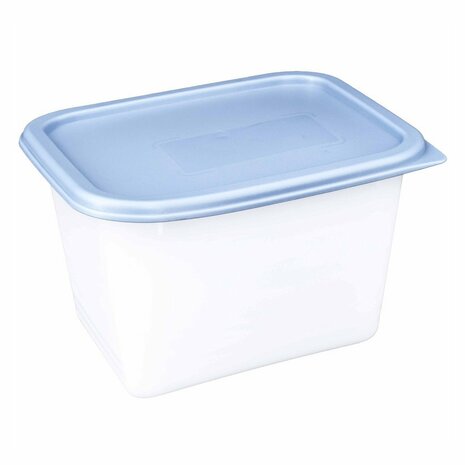 Rotho Domino Diepvriesdozen Etiket Decor 4x1L Horizon Blauw/Wit