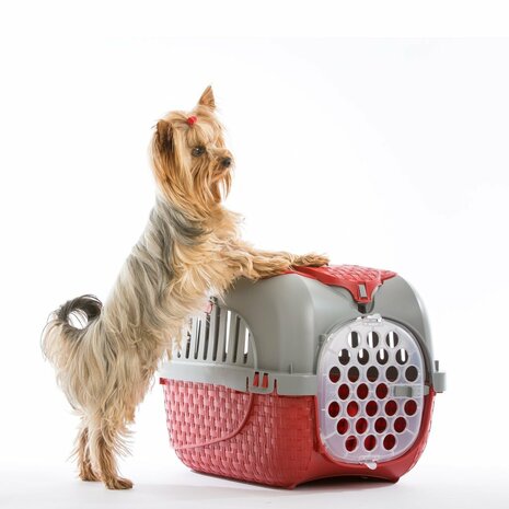 Bama Pet Transportbox 59x38x37 cm Rood/Zilver
