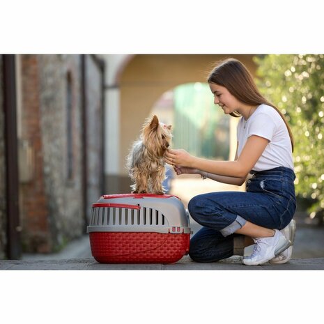 Bama Pet Transportbox 59x38x37 cm Rood/Zilver