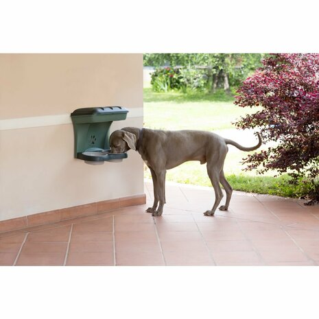 Bama Pet Hondenvoederbak 48x27x42 cm Groen