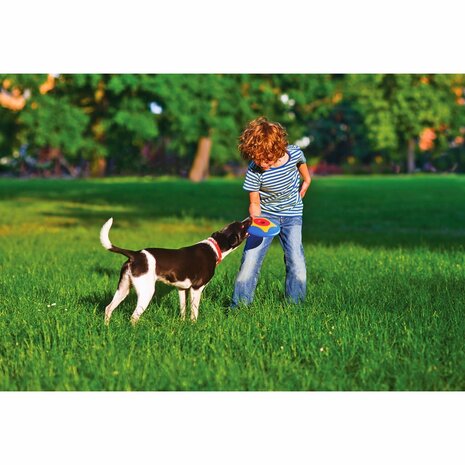 Bama Pet Trotto Disk Hondenspeelgoed 24.5x4.5 cm Blauw/Geel/Rood