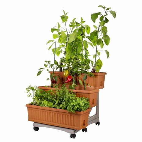 Bama Orto Di Kit Plantenbakken 80x74x73 cm Terracotta