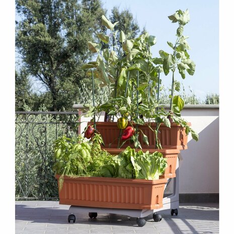 Bama Orto Di Kit Plantenbakken 80x74x73 cm Terracotta