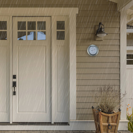 NeXtime NE-4303GA Buitenbarometer 22CM Metaal Verzinkt Orchid