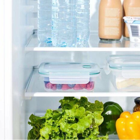 Rotho Nala Clic and Lock Vershouddoos 0.45L Mistletoe Green/Transparant