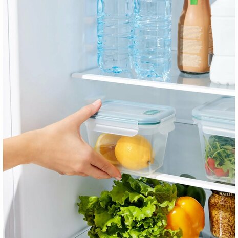 Rotho Nala Clic and Lock Vershouddoos 0.85L Mistletoe Green/Transparant