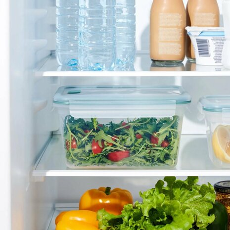 Rotho Nala Clic and Lock Vershouddoos 2.2L Mistletoe Green/Transparant