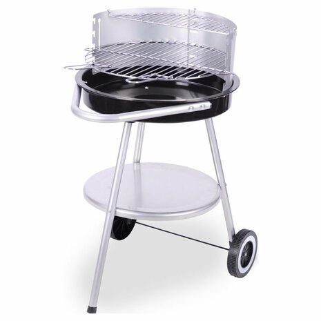 BBQ Barbecue 47x77 cm Zwart/RVS