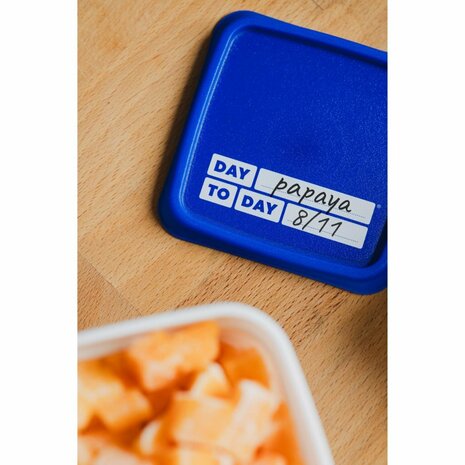 Day To Day Alaska Diepvriesbakken 3x2000 ml Blauw/Wit