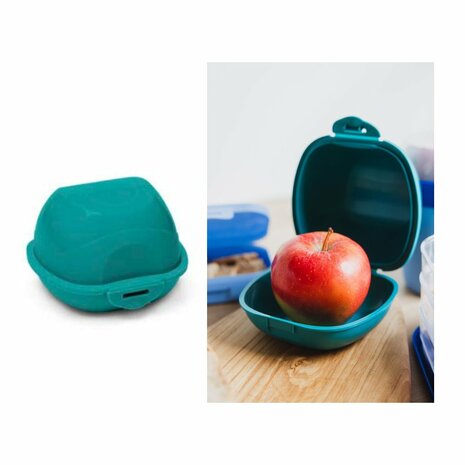Day To Day Appel Box 460 ml Turquoise