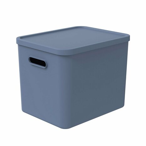 Rotho ALBULA Multibox 29.5x29x37 cm 27L Horizon Blauw
