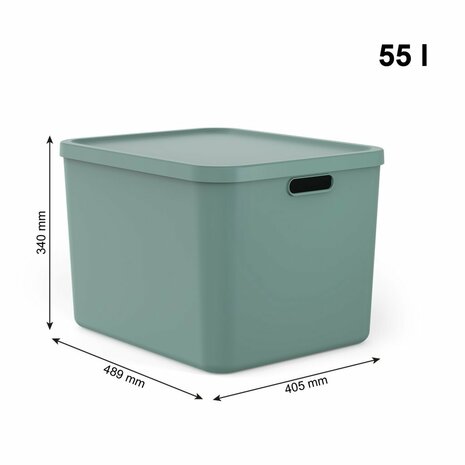 Rotho Albula Multibox 55L Mistletoe Groen