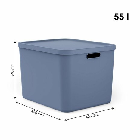 Rotho Albula Multibox 55L Blauw
