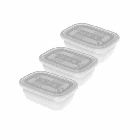 Rotho Freeze Diepvriesdozen 3x1L Transparant/Wit